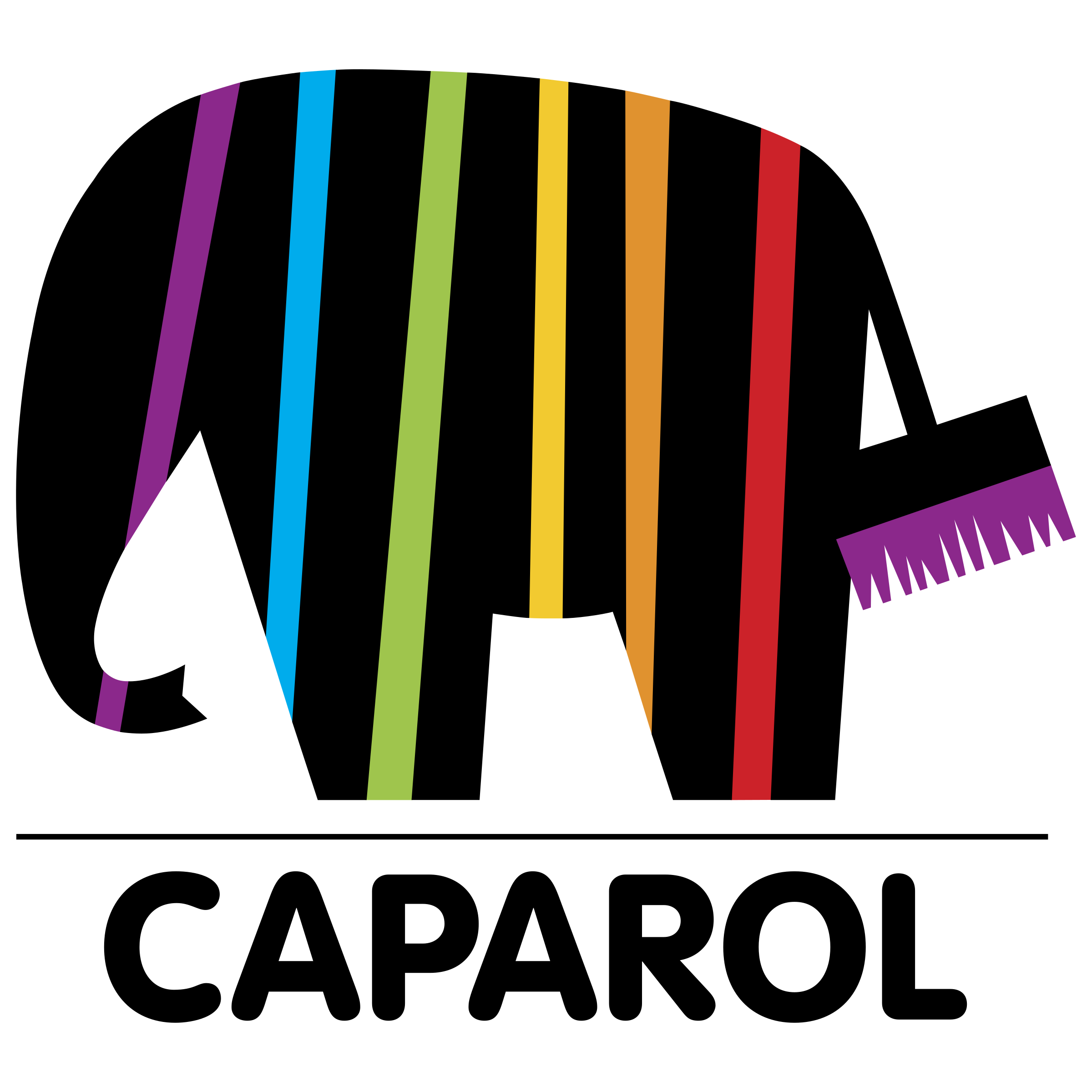 logo-caparol